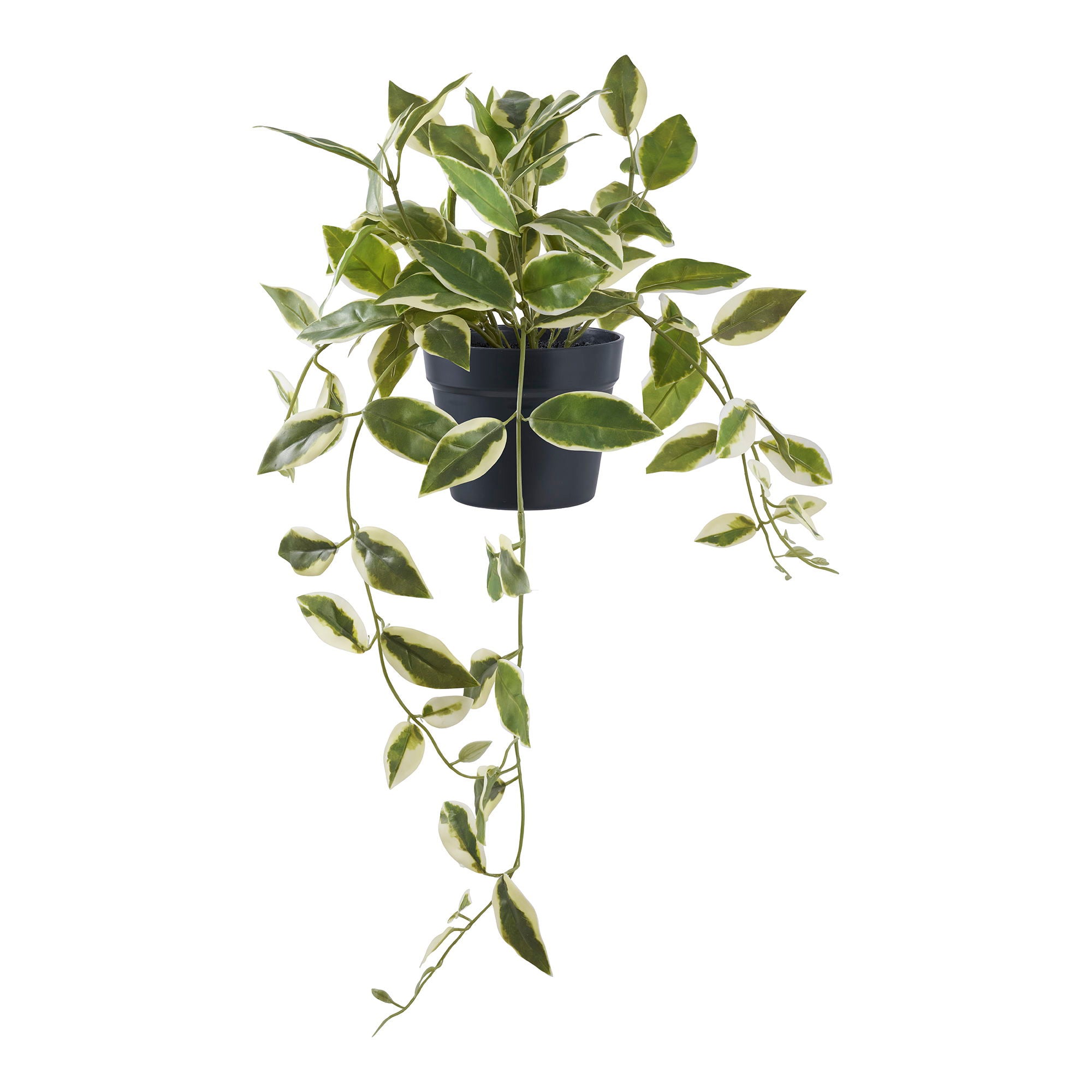 Hoya Carnosa – Künstliche Pflanze, grün, H:33 cm